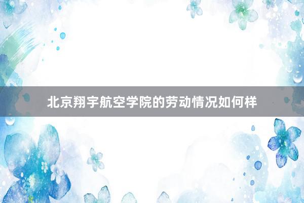 北京翔宇航空学院的劳动情况如何样