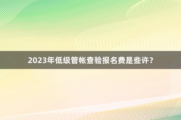 2023年低级管帐查验报名费是些许？