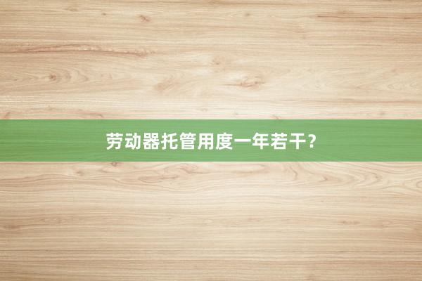 劳动器托管用度一年若干？
