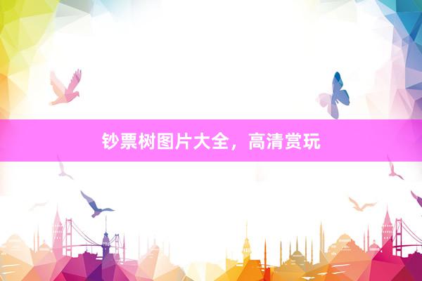 钞票树图片大全，高清赏玩