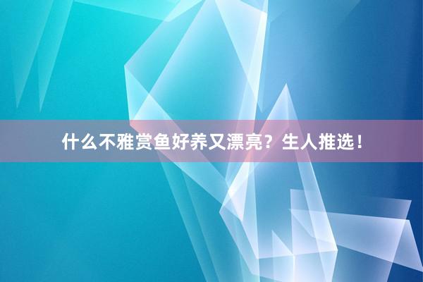 什么不雅赏鱼好养又漂亮？生人推选！